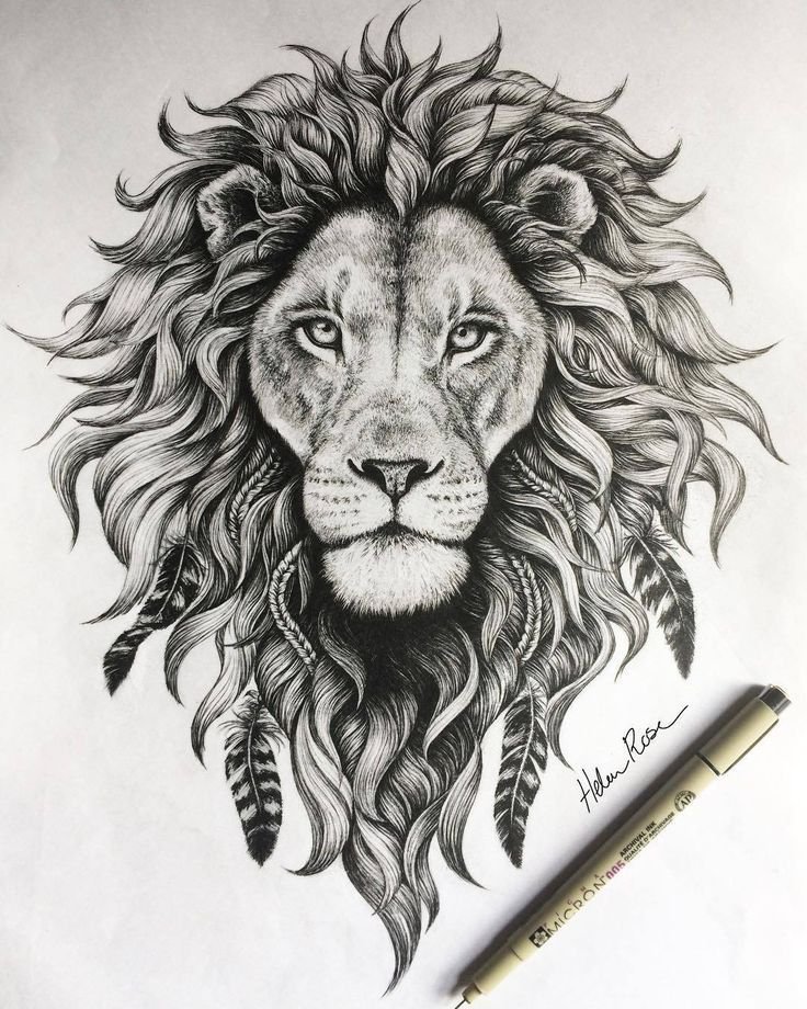 Lion Head Drawing Image