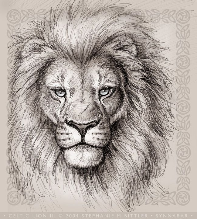 Lion Head Drawing Picture