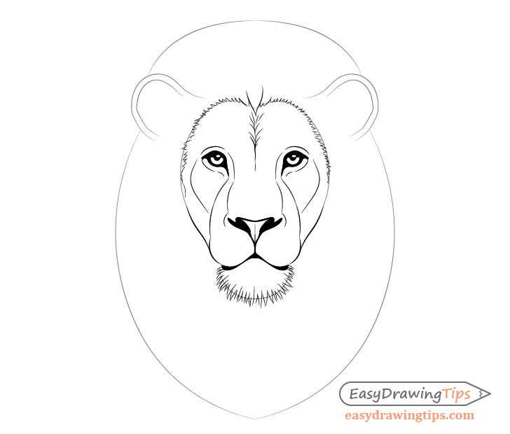 Lion Head Drawing Realistic