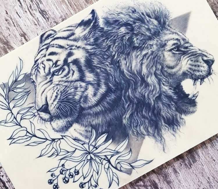 Lion Tattoo Drawing Sketch
