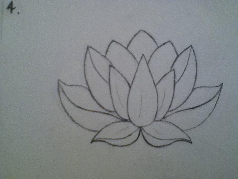 Lotus Flower Drawing Amazing