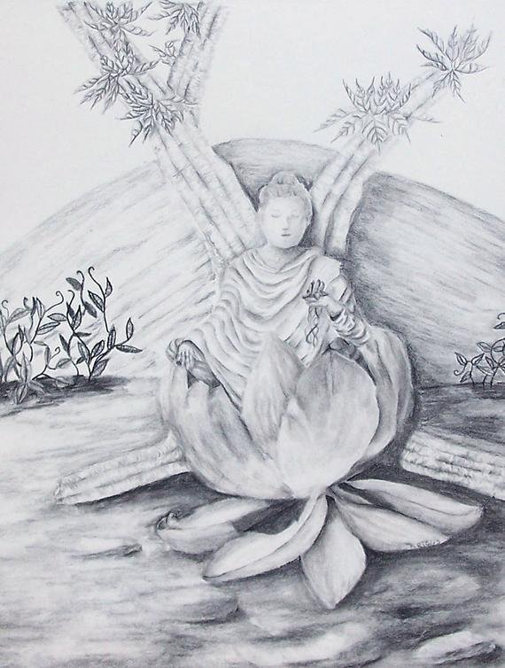 Lotus Flower Drawing Pic