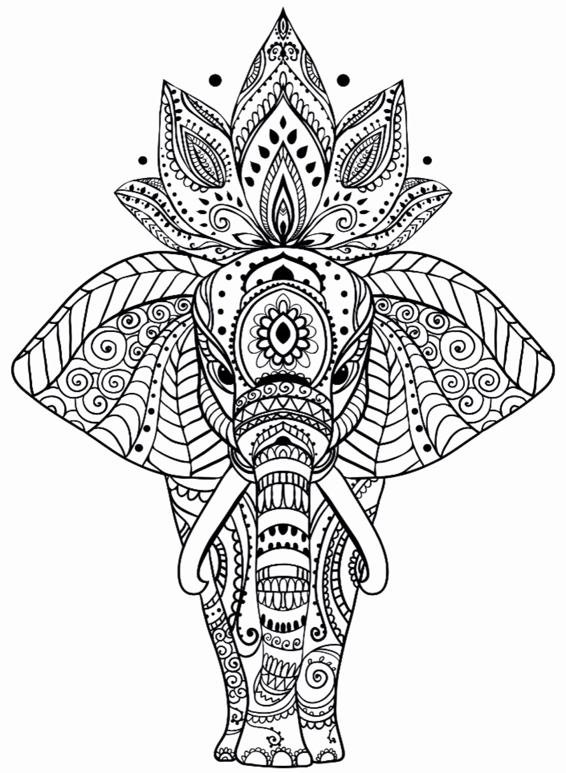 Mandala Elephant Drawing Amazing