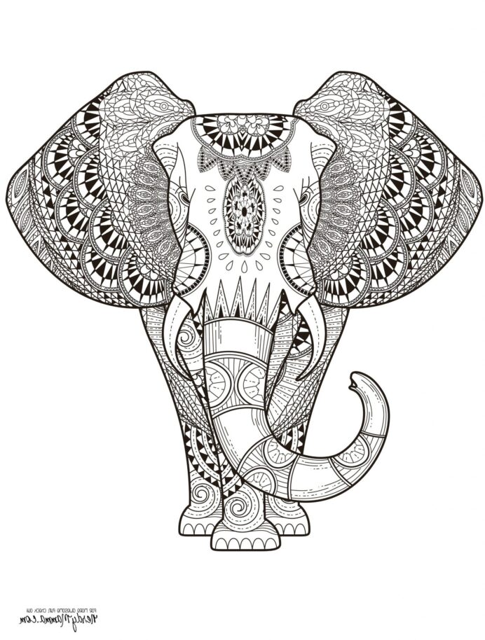 Mandala Elephant Drawing Beautiful Image