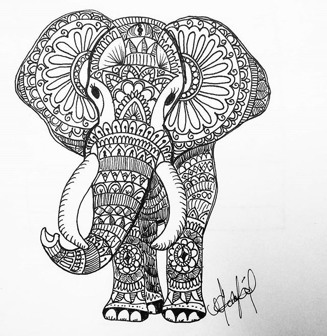 Mandala Elephant Drawing Image