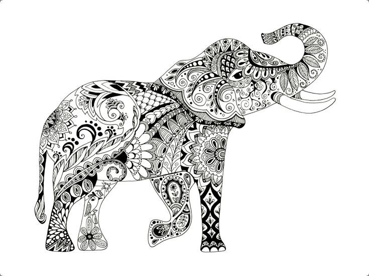 Mandala Elephant Drawing Photo