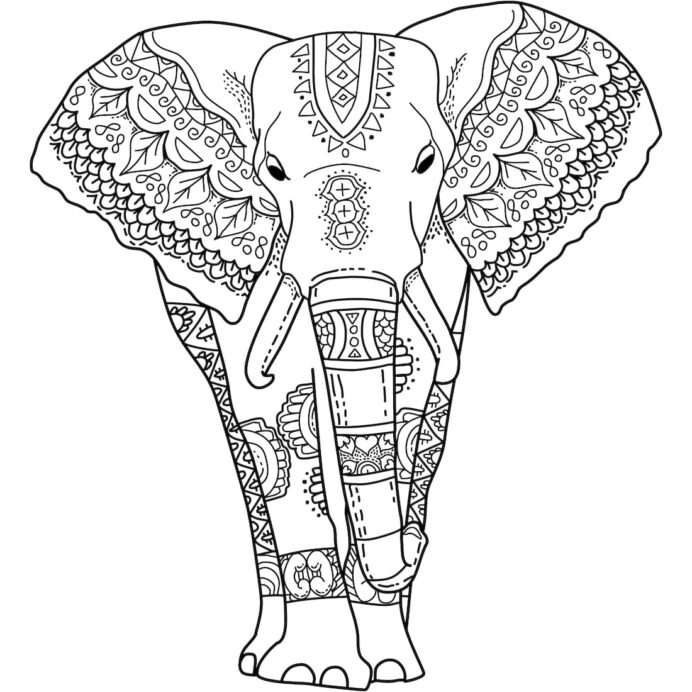 Mandala Elephant Drawing Pictures