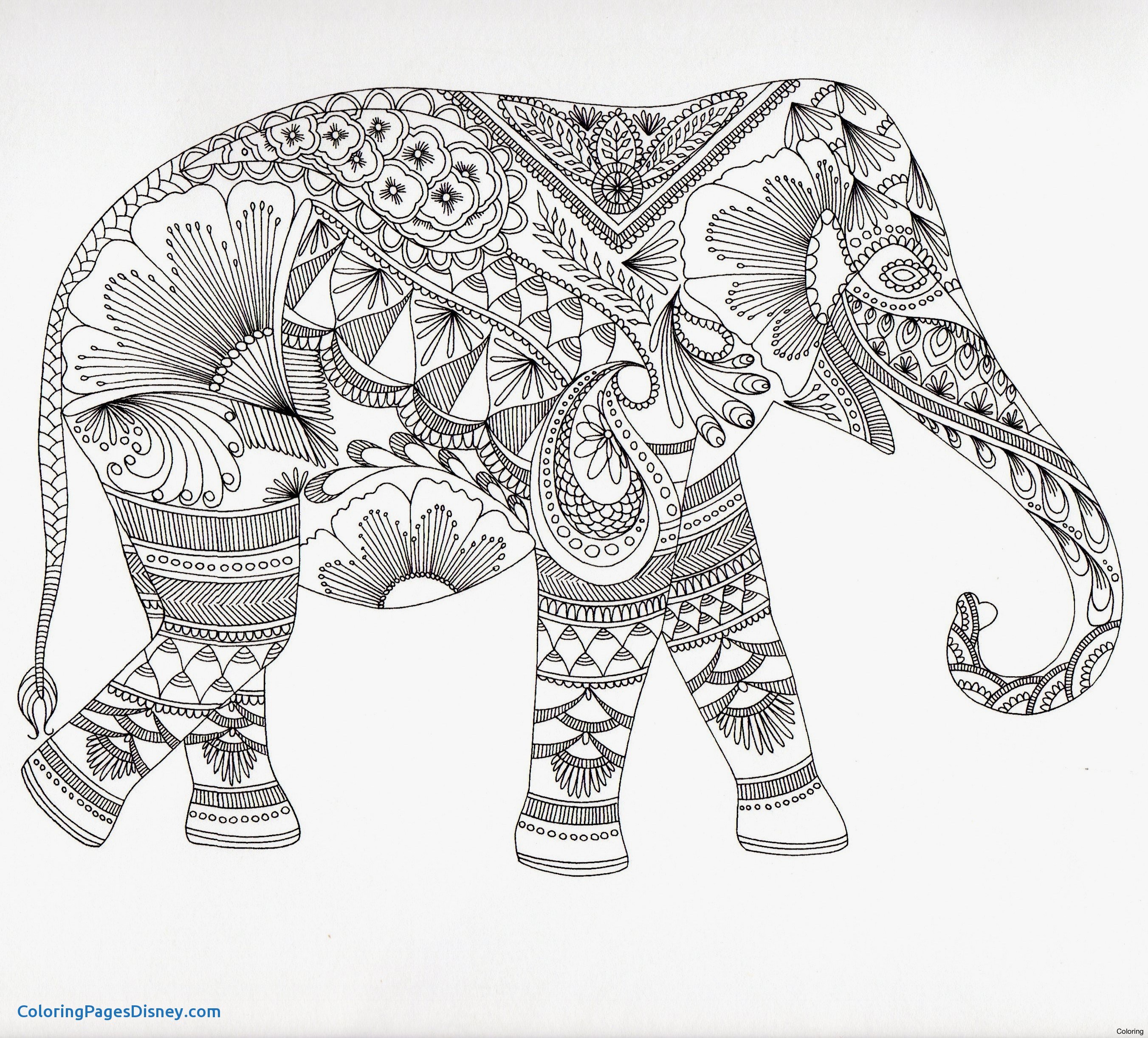 Mandala Elephant Drawing Sketch