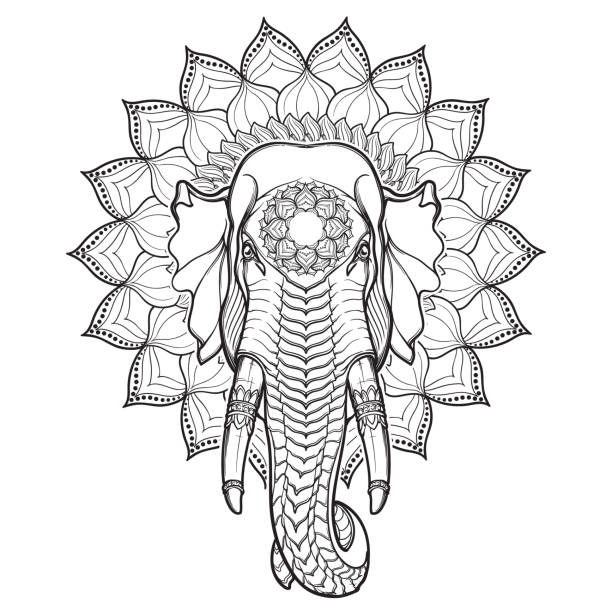 Mandala Elephant Head Drawing Photo