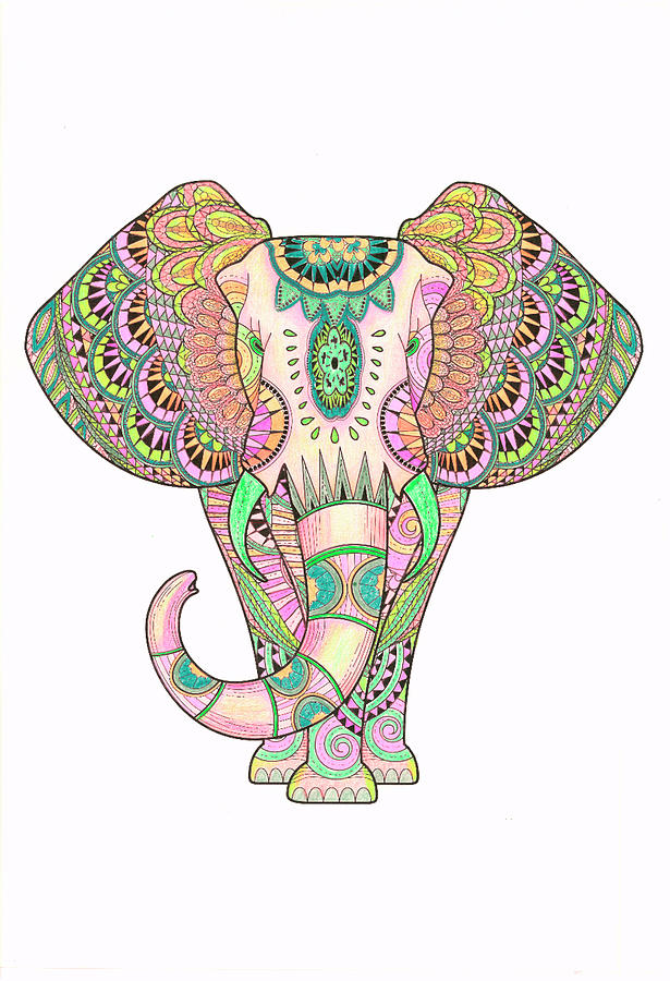 Mandala Elephant Head Drawing Sketch