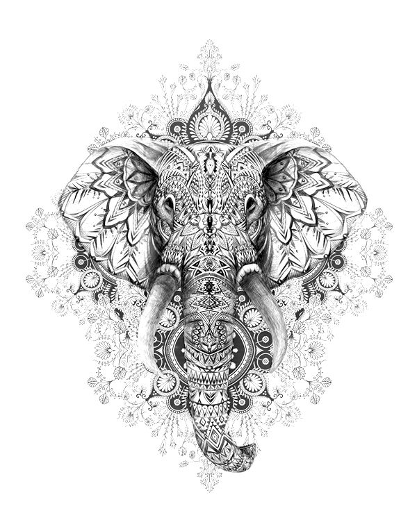 Mandala Elephant Head Drawing