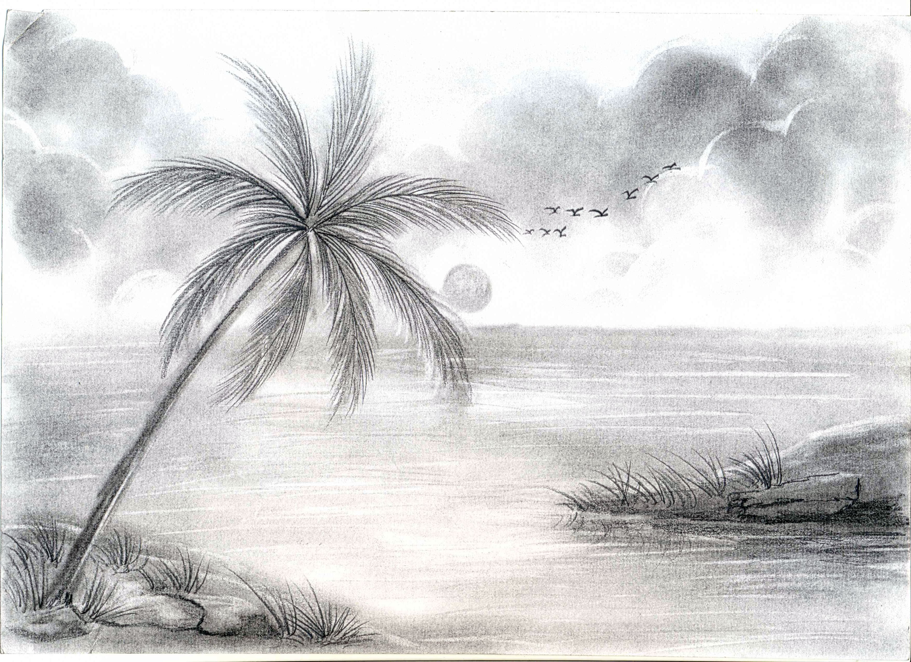 Top more than 82 creative sketches of nature super hot - in.eteachers-anthinhphatland.vn