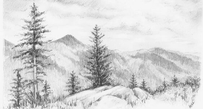 Nature Sketch Drawing Pictures