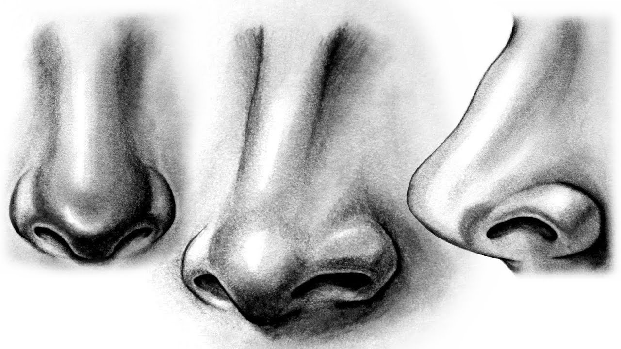Nose Drawing Best
