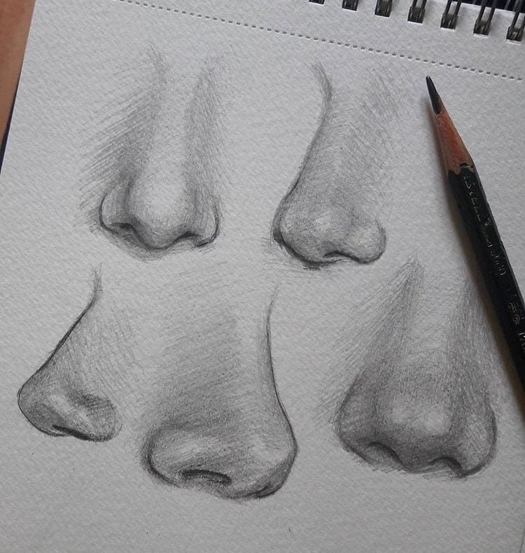 Nose Drawing Creative Art