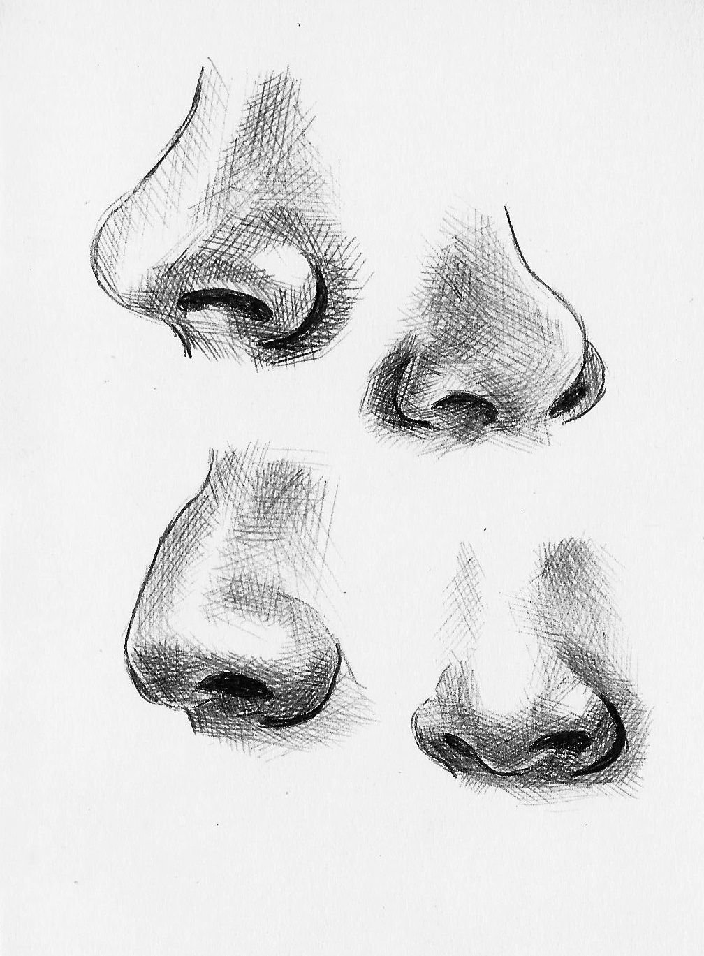 Nose Drawing Image