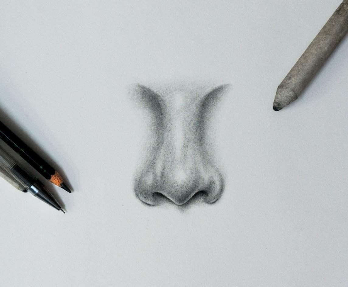 Nose Drawing Photo
