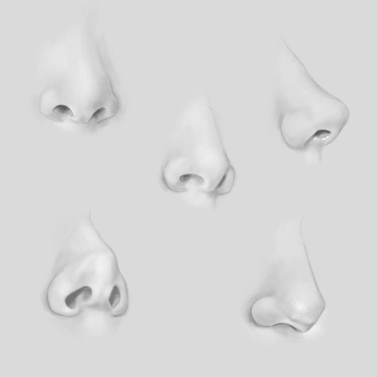 Nose Drawing Pics