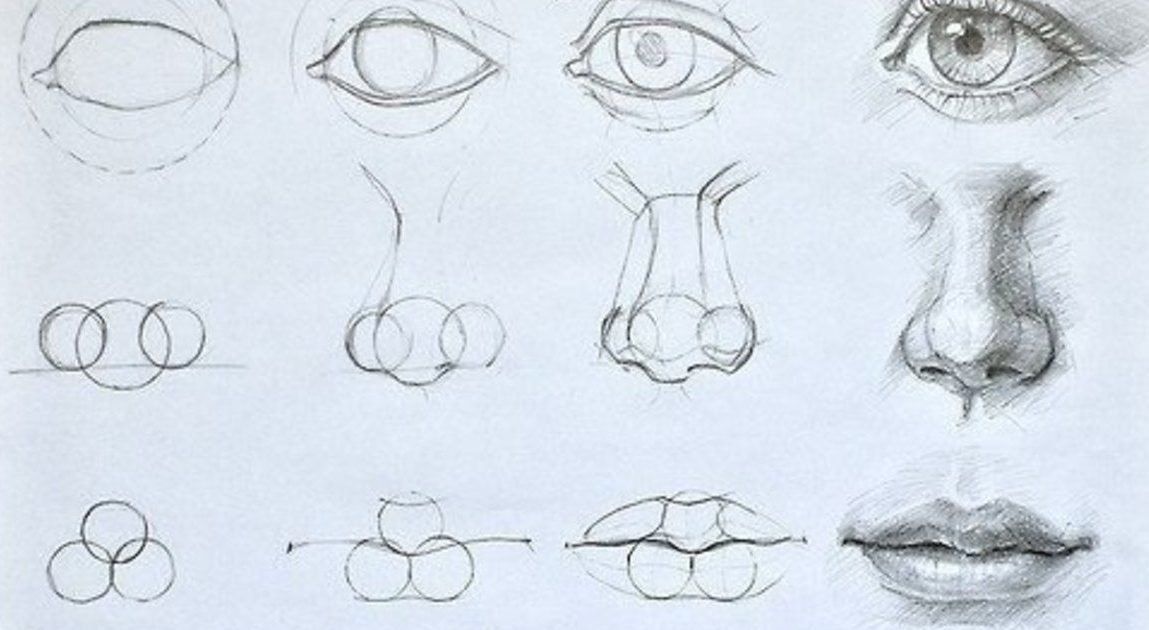 Nose Drawing Realistic