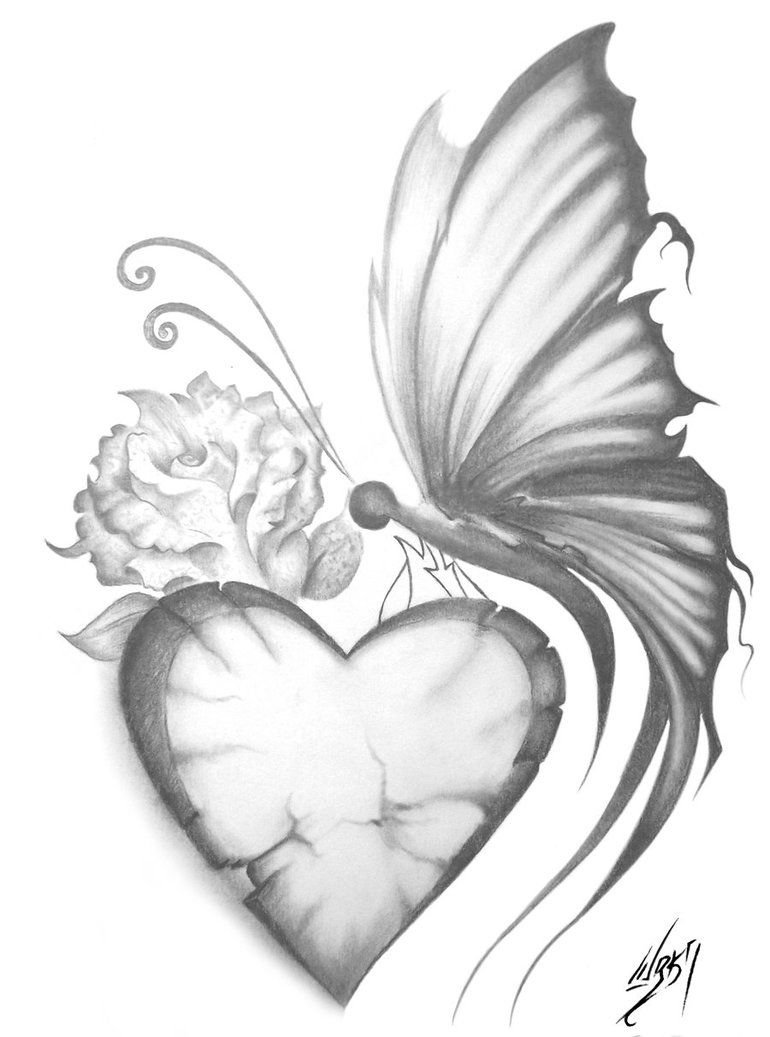 Pencil Butterfly Drawing Image