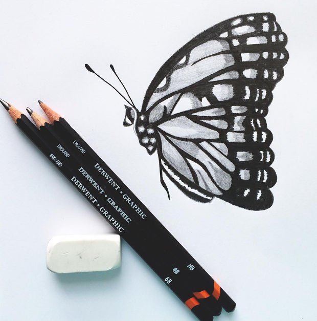 Pencil Butterfly Drawing Sketch