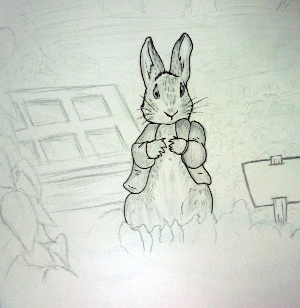 Peter Rabbit Drawing Amazing