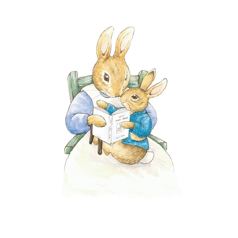 Peter Rabbit Drawing Pic