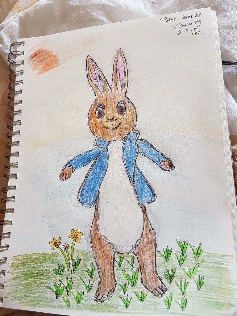 Peter Rabbit Drawing Pics