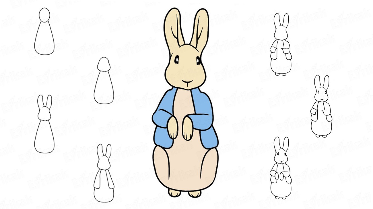 Peter Rabbit Drawing Realistic