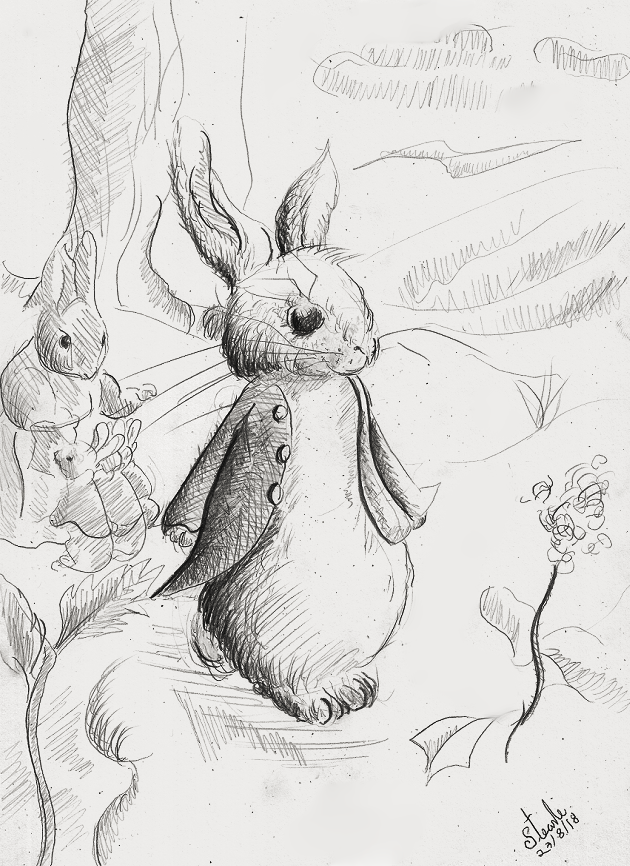 Peter Rabbit Drawing Sketch