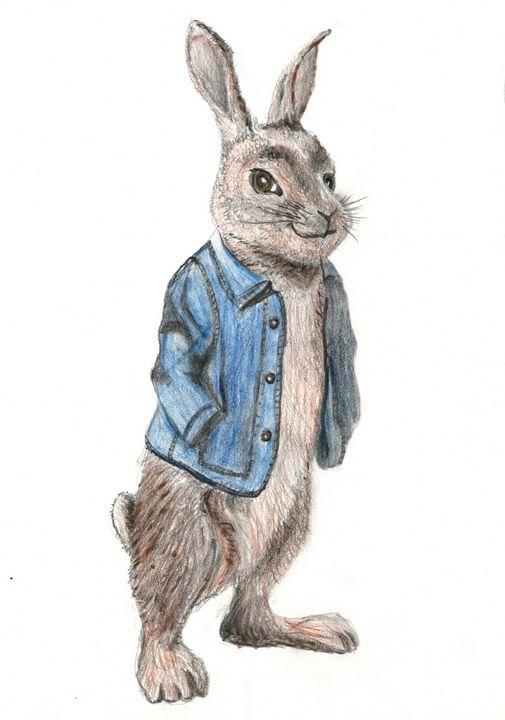 Peter Rabbit Drawing