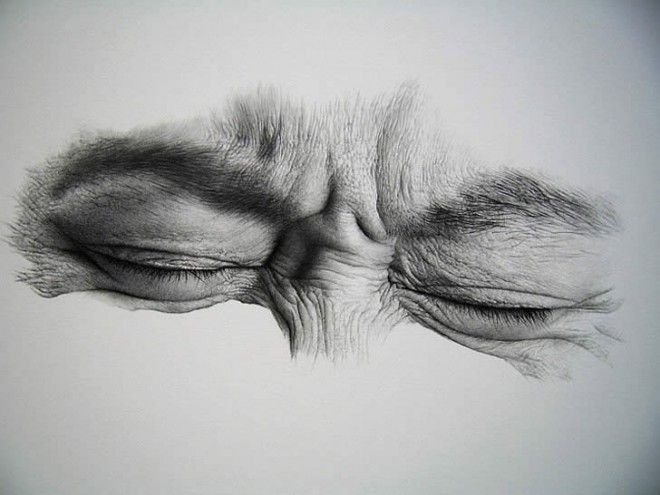 Realistic Sketch Drawing Pic