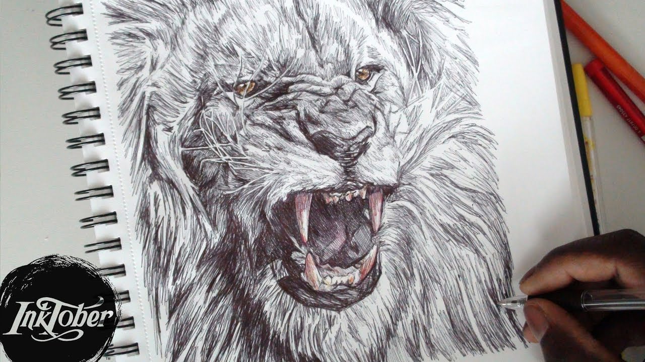 Roaring Lion Drawing Amazing