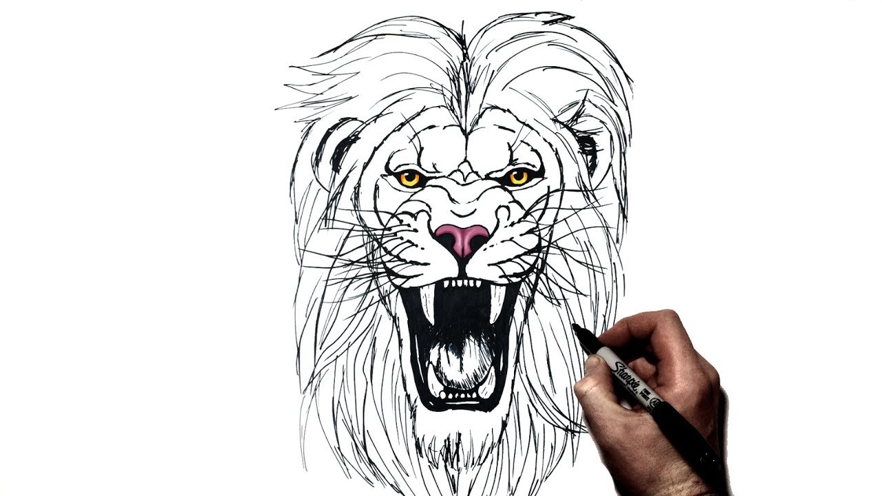 Roaring Lion Drawing Beautiful Image