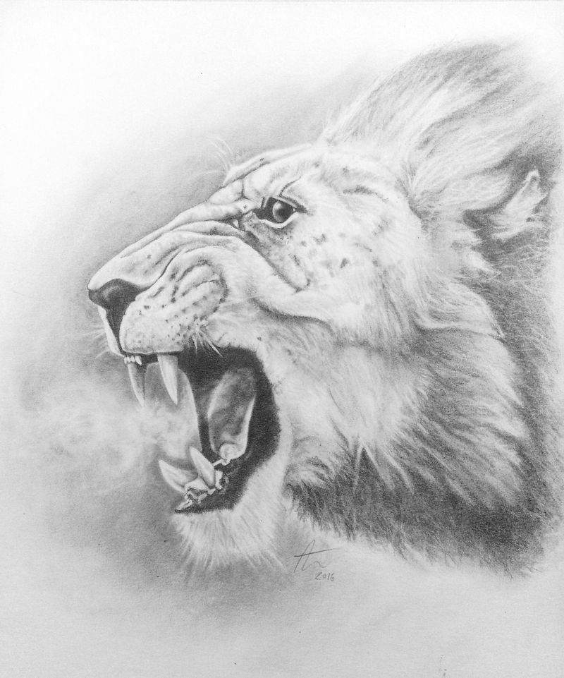 Roaring Lion Drawing High-Quality