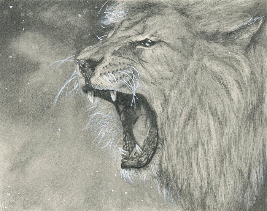 Roaring Lion Drawing Images
