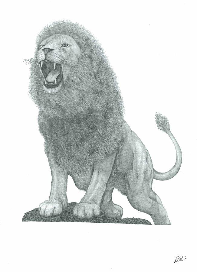 Roaring Lion Drawing Realistic