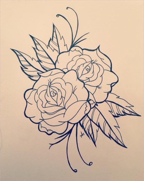 Rose Flower Drawing Creative Art