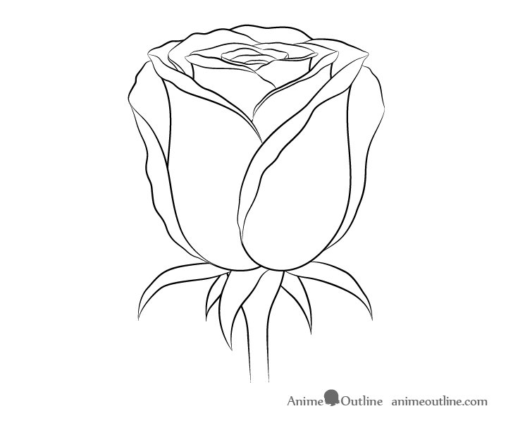 How to Draw a Rose | Art Rocket