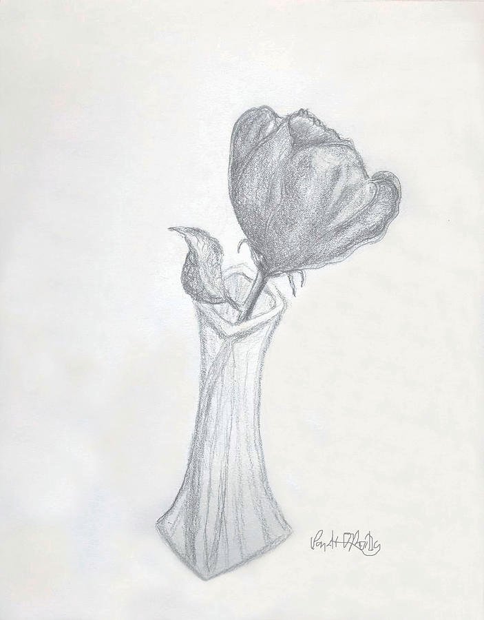 Rose Sketch Art Drawing