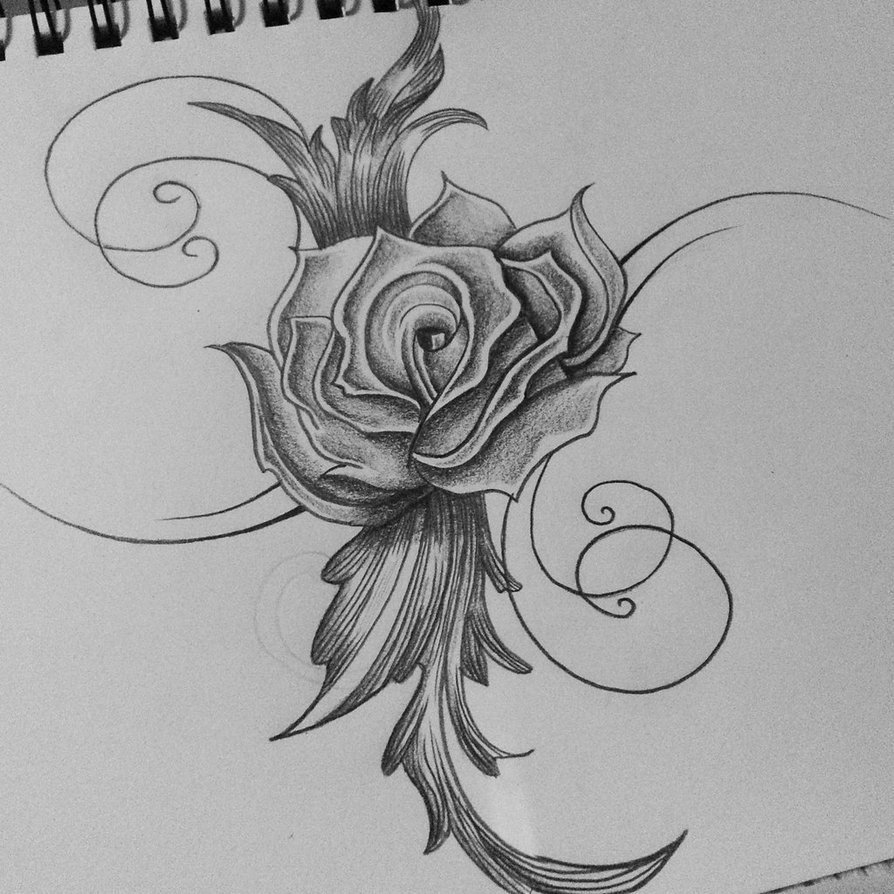 Rose Sketch Drawing Images