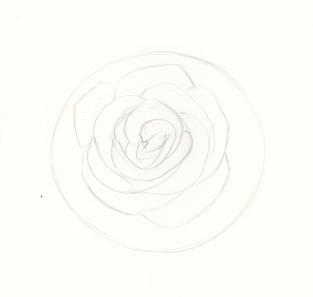 Rose Sketch Drawing Pic