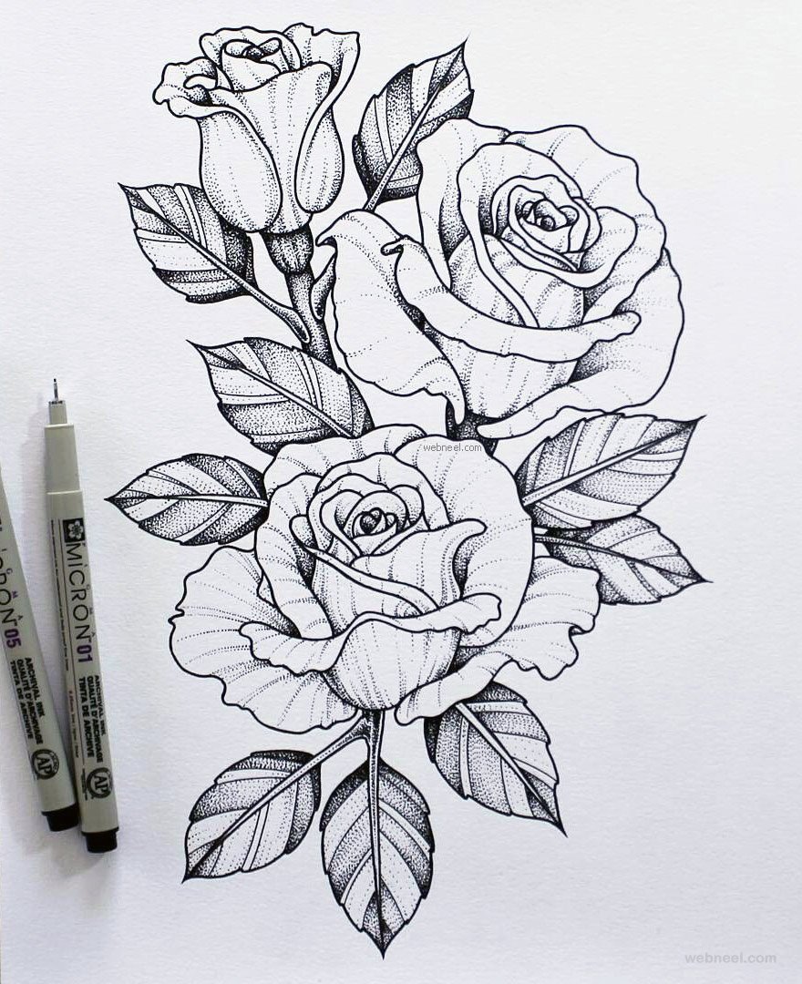 Rose Sketch Drawing