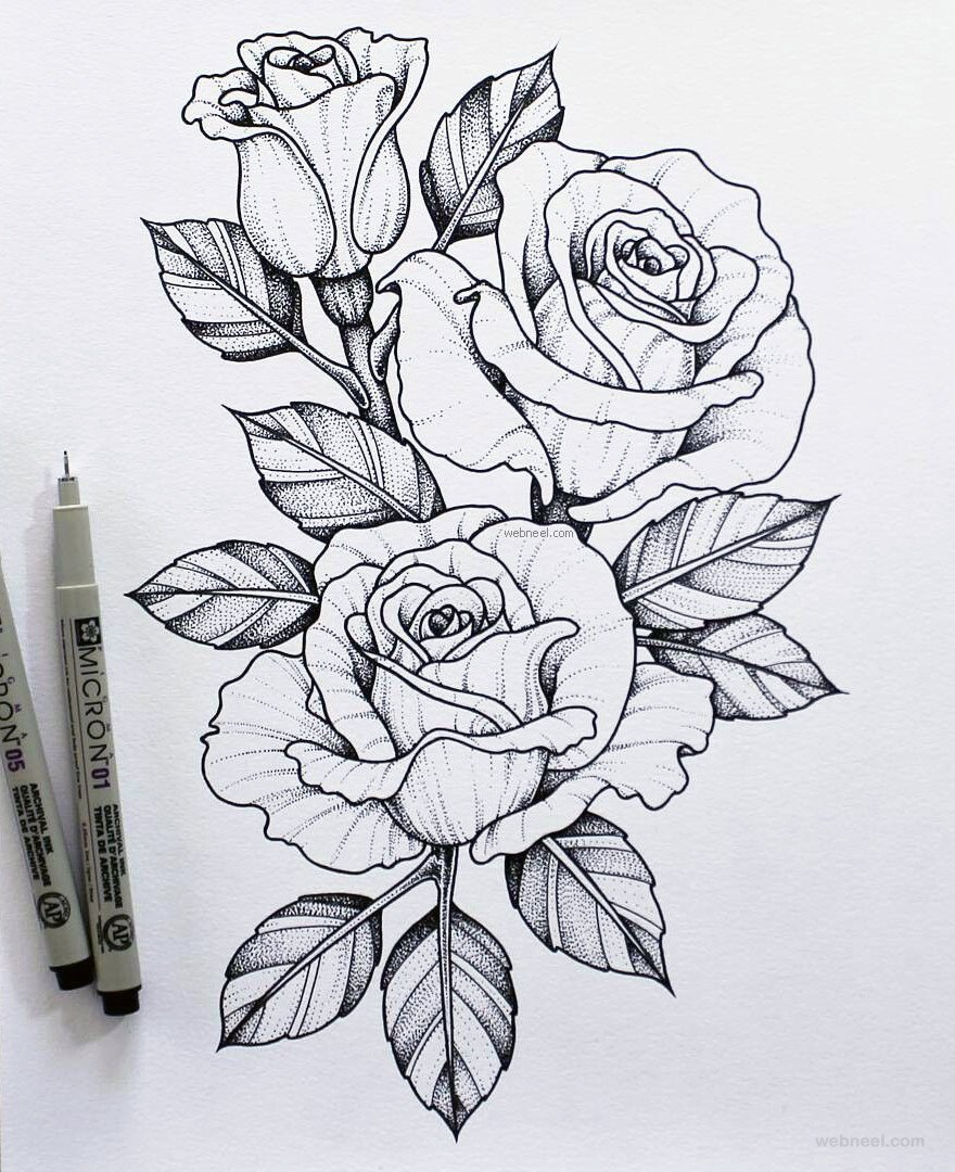 Rose Sketch Drawing - Drawing Skill