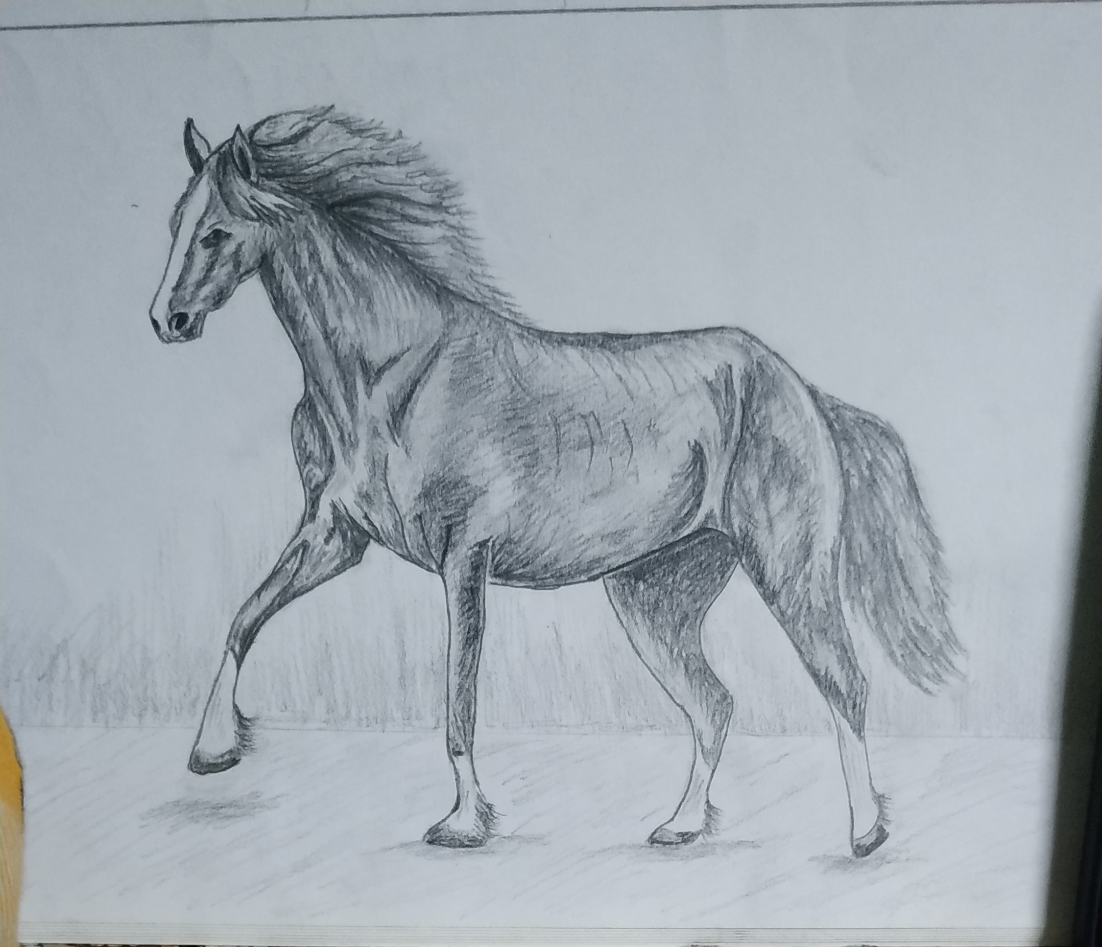 Running Horse Drawing
