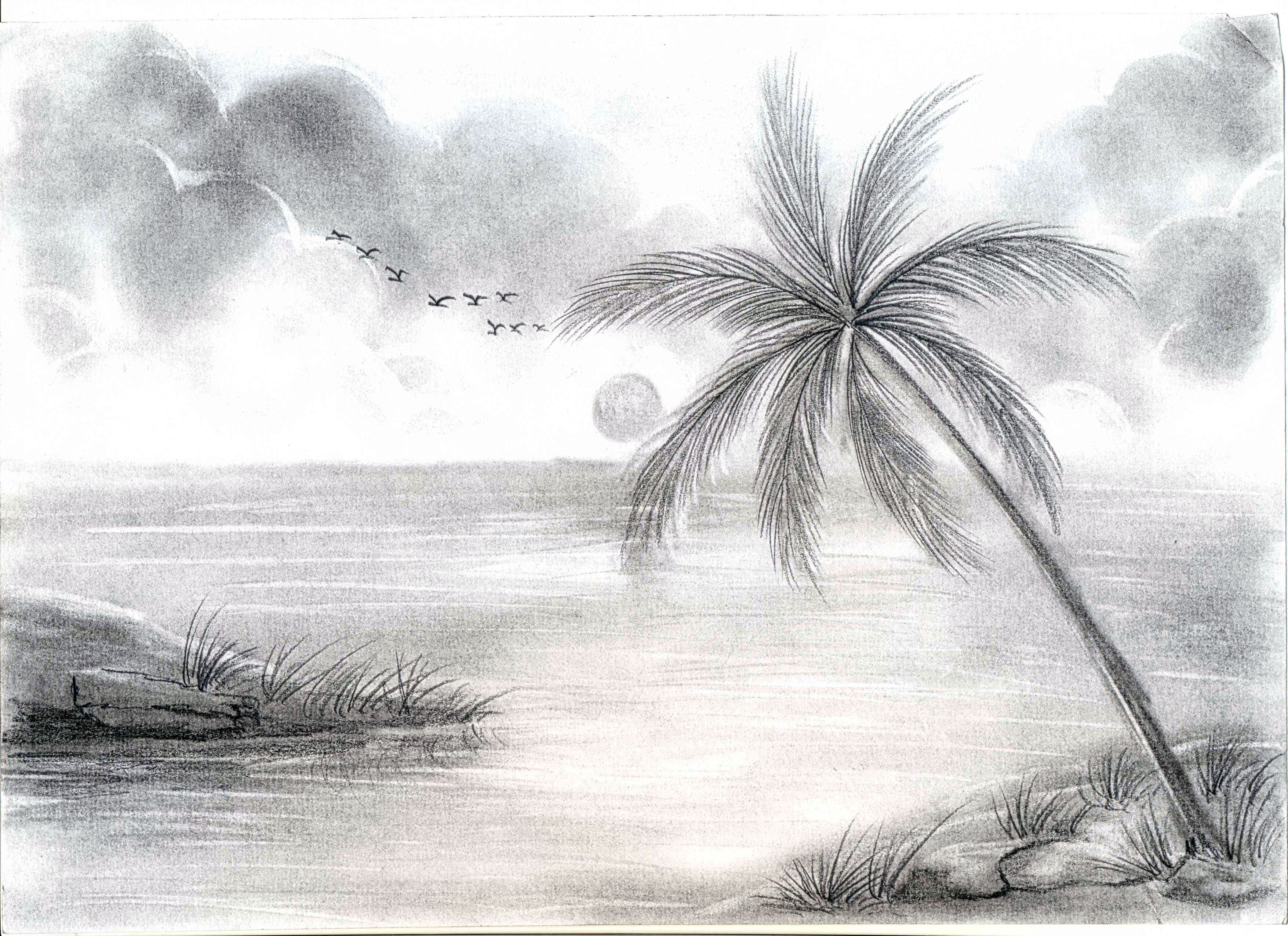 Scenery Sketch Drawing