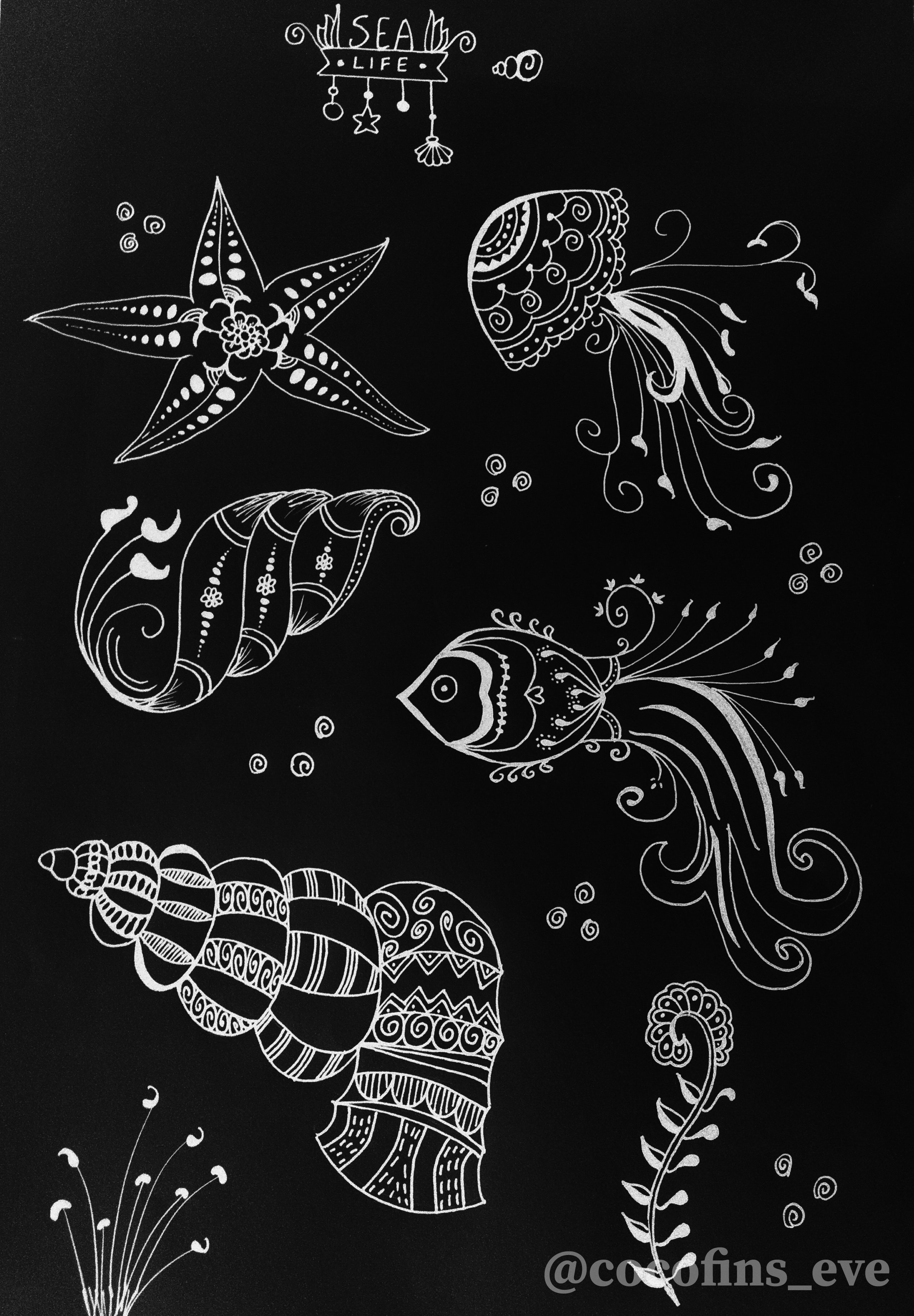 Sea Life Mandala Drawing