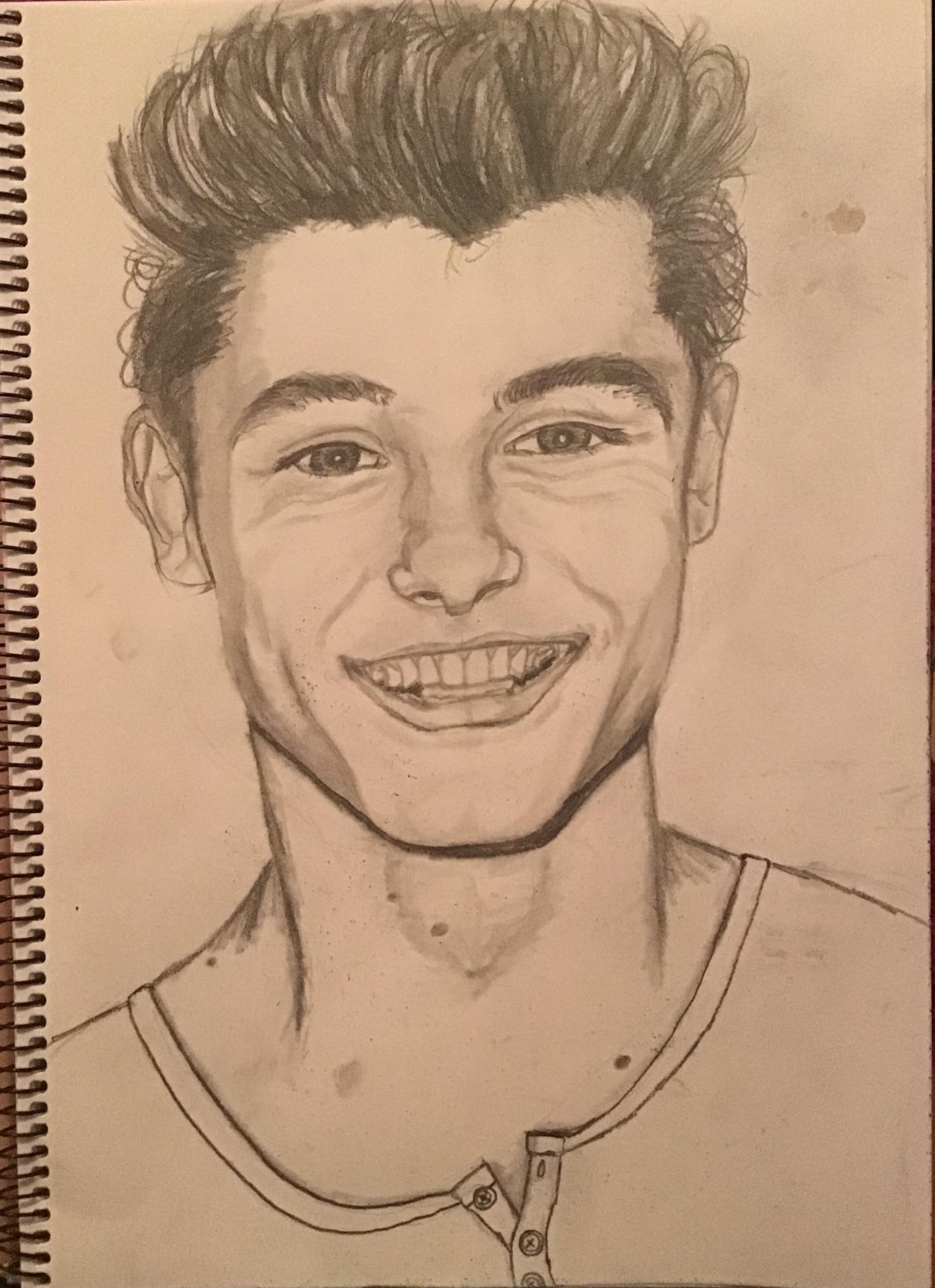 Shawn Mendes Drawing Amazing