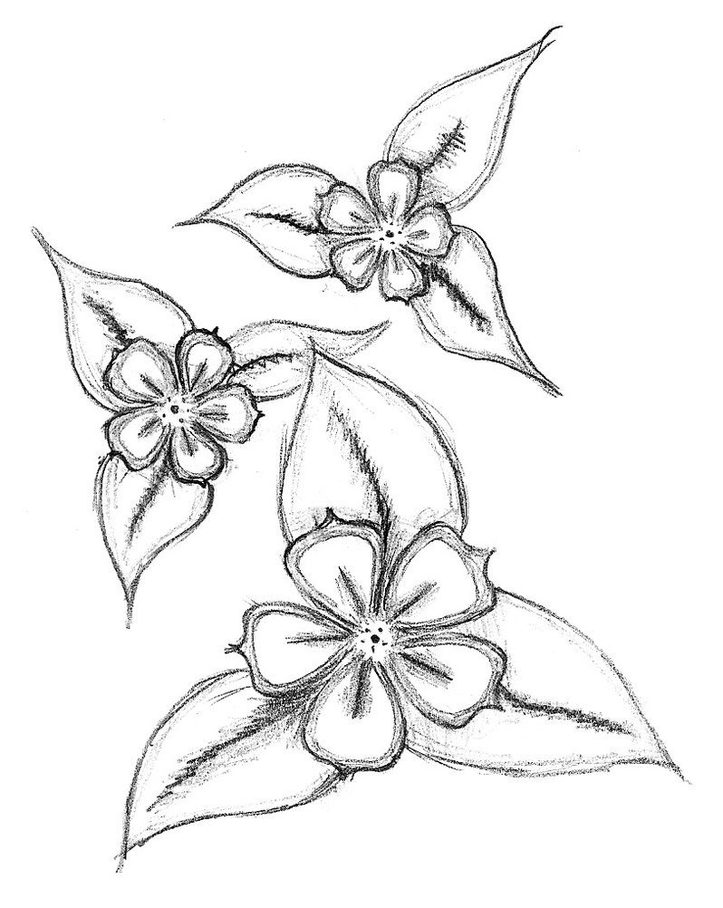 Simple Flower Art Drawing