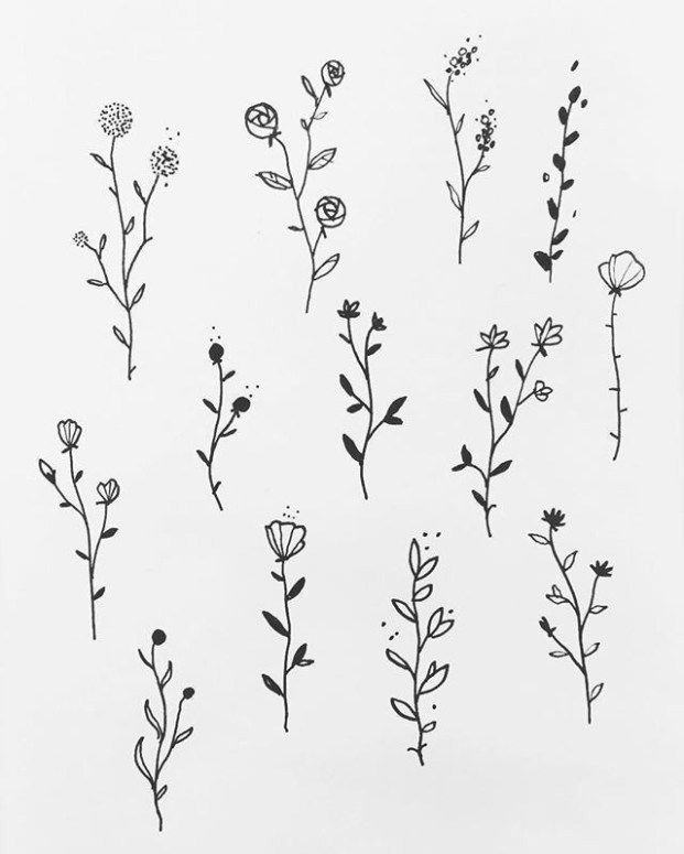 Simple Flower Drawing Amazing